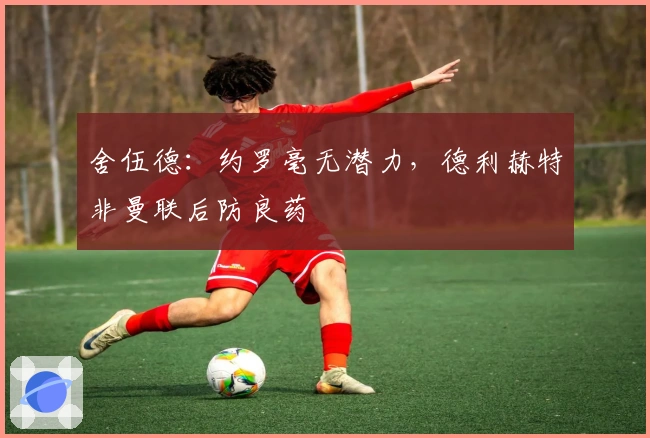 舍伍德：约罗毫无潜力，德利赫特非曼联后防良药