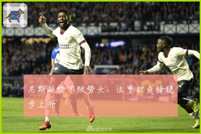 尼斯延续不败势头，法甲积分榜稳步上升