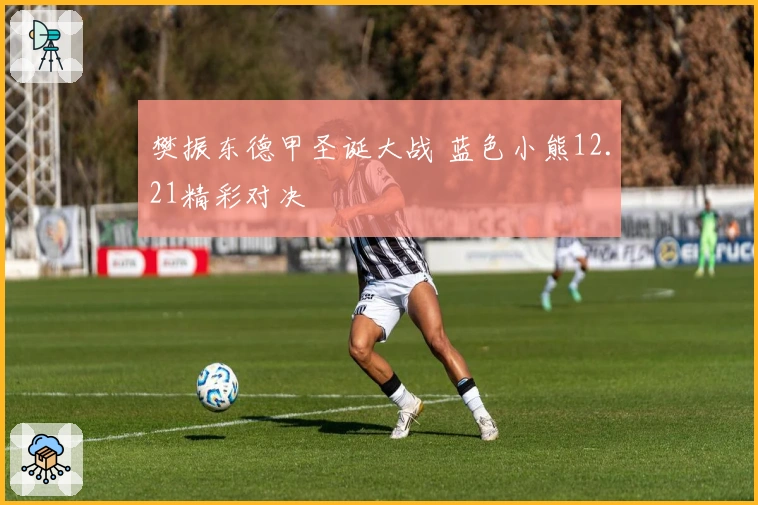 樊振东德甲圣诞大战 蓝色小熊12.21精彩对决